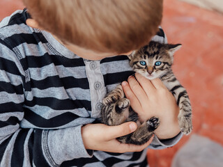 Kitten on the arm of the boy outdoors. Children and domestic animals.