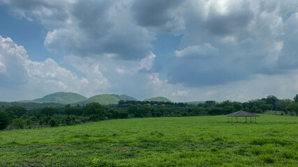 field and blue sky