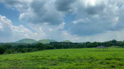 field and blue sky