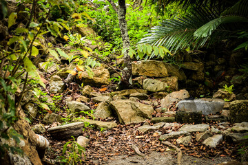 沖縄、今帰仁城跡付近の景色を眺めながら
