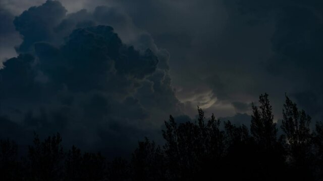 Thunderstorm and Trees bending in the strong wind.