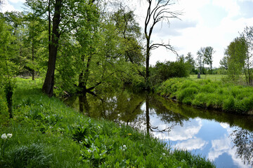 Park, zielona trawa, drzewa i woda w stawie.
