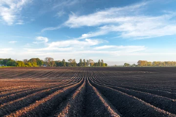 Foto auf Alu-Dibond Agricultural field with even rows in the spring © Ivan Kmit