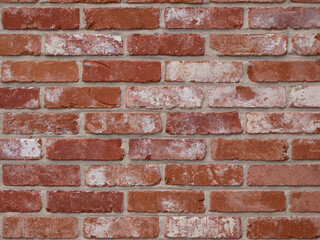 Orange brick wall with white cement stains