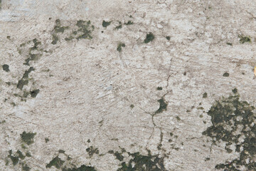 Concrete texture