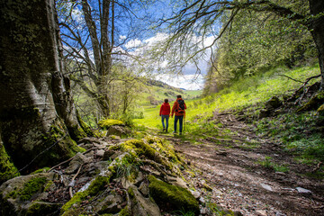 Deux randonneurs marchant en pleine nature sur un chemin de montage.