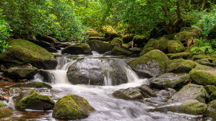 Waterfall in the forest. Water flowing through green moss covered rocks.