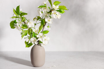 cherry tree blossoms in beige vase in sunlight on gray background. Interior design, coziness and decoration concept. Empty space for text or design © Mila Naumova