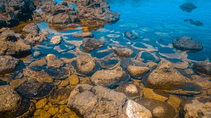 Sea