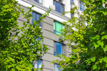 The exterior of a modern residential building facade. Windows amidst lush green vegetation. Fragment of a new-build luxury house or apartment complex. Urban real estate, condominiums architecture.