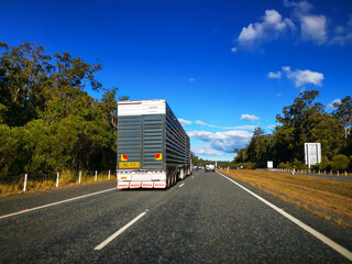 A cattle truck,on a pacific highway in Australia. © IKT224