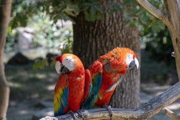 zoo plaisance du touch