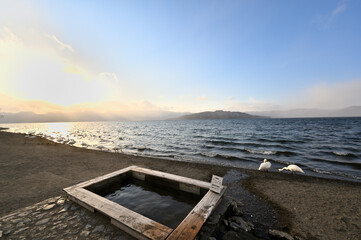 北海道_屈斜路湖_砂湯温泉に集まる白鳥たち
