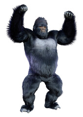 3D Rendering Black Gorilla Ape on White