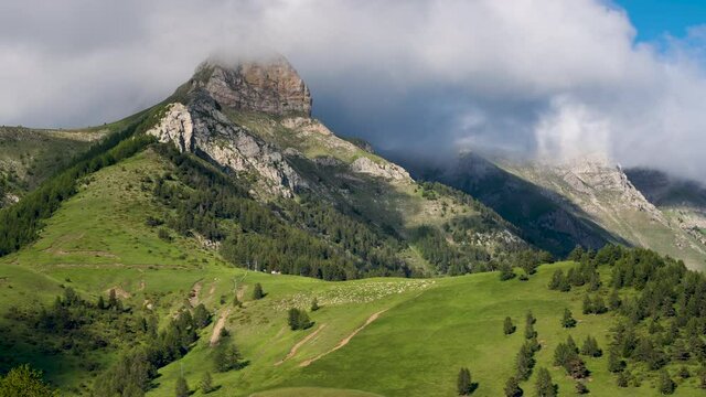 L'Arche peak in Champsaur with passing clouds, green pasture with grazing sheep herd in Summer (timelapse). Ecrins National Park in the Hautes-Alpes, French Alps, France