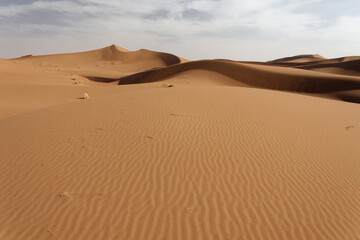 Sahara w Maroku, 2013 - obrazy, fototapety, plakaty