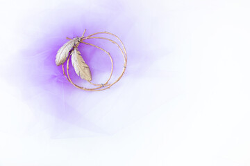 紫のチュールと金の羽根と金の枝のリース