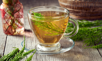 Horsetail tea with fresh horsetail medicinal plant