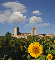 La Romieu is a little village of Gers in Gascony. The collegiate church includes a cloister and two...