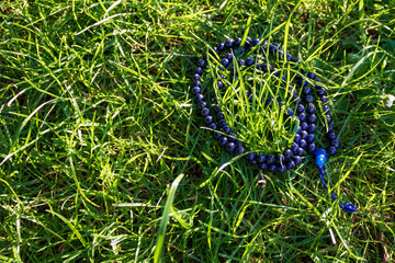 Blue mala beads (lapislazuli) in green grass, close up and view from above. Buddhist prayer beads for japa meditation