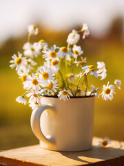 A mug with daisies stands on a book, a summer sunny day postcard