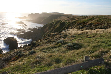 view from the beach