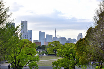 Fototapeta premium 横浜山下公園から眺めるみなとみらい
