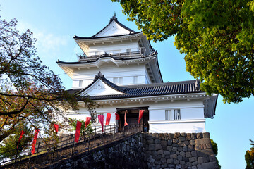 Obraz premium 赤いのぼりと小田原城