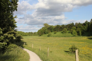 Fototapeta premium Danish landscape