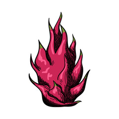 Icon Of Dragon Fruit