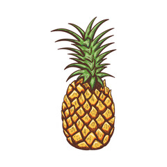 Icon Of Pineapple