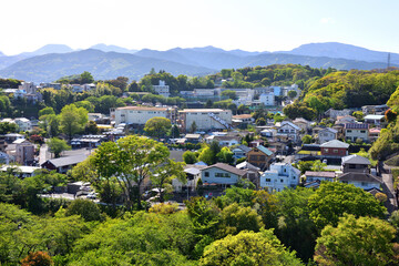 Fototapeta na wymiar 小田原城の周りの丘陵に立ち並ぶ住宅