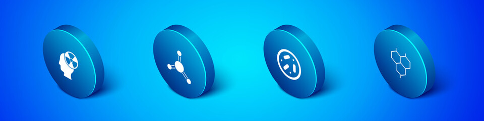 Set Isometric Head and radiation symbol, Petri dish with bacteria, Chemical formula and Molecule icon. Vector