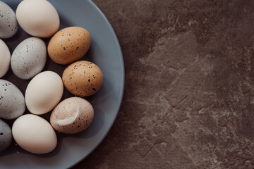 Blue plate with Easter eggs and a feather on a concrete background. Top view with copy space.
