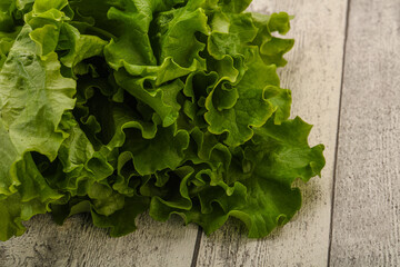 Green lettuce salad heap leaves