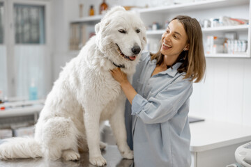Happy female owner hugging and soothing cute big dog standing at examination table at vet clinic before doctor's examination. Pet care and visit a clinic.