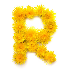 The letter R of yellow dandelions