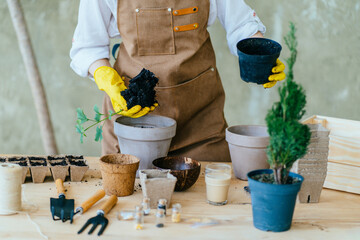 Hand of unknown gardener is using small garden shovel and holding young green tree seedling or...