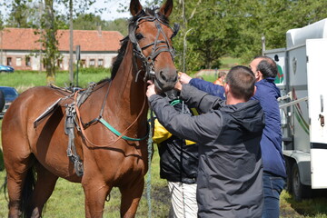 Courses hippiques hippodrome de Gournay en Bray