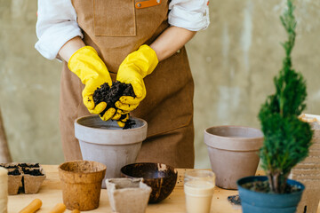 Woman caring for plant, indoors. Young woman's hands in yellow gloves holding pile earth for transplanting . Senior woman gardener taking care of plant. Selective focus on ground.