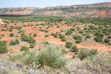 Palo Duro Canyon State Park in Texas, USA