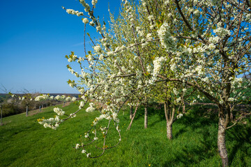 Paysage campagne 867