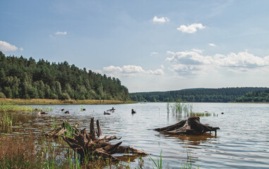 Obraz premium Talsperre Heyda / Thüringen