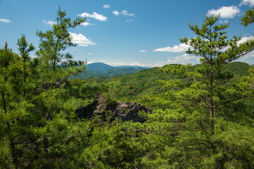 岩と松の木の多い里山の尾根から見た風景