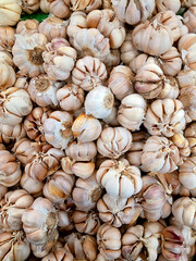 a pile of fresh white garlic