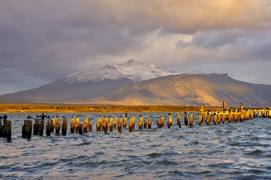 Pier at sunrise, Puerto Natales, Torres del Paine National Park, Ultima Esperanza Province, Magallanes and Chilean Antactica Region, Patagonia, Chile