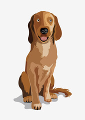 Cute beautiful brown dog. Ridgeback or little bulldog. A beautiful white dog sitting on a ground. Isolate. Vector illustration