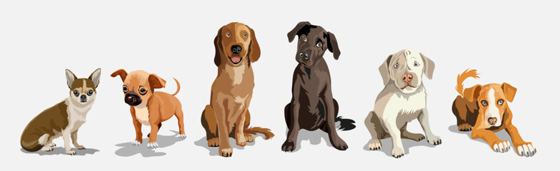 Collection with cute dogs of different breeds. Set of funny dogs, on a white background. Furry human friends home animals