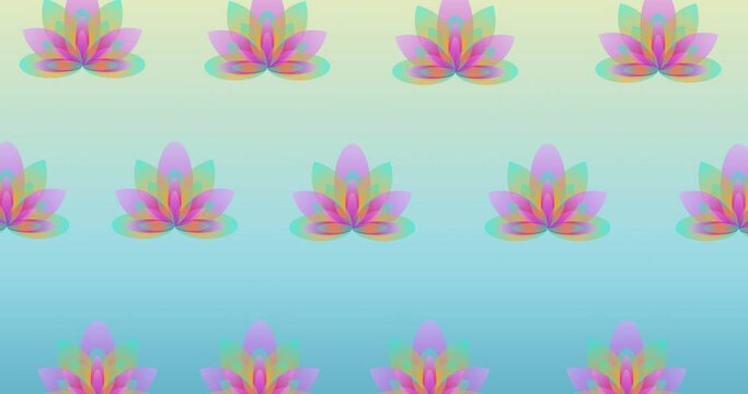 Composition of rows of lotus flowers moving on blue background
