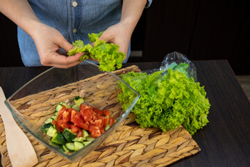 cooking summer salad cucumber and tomatoes